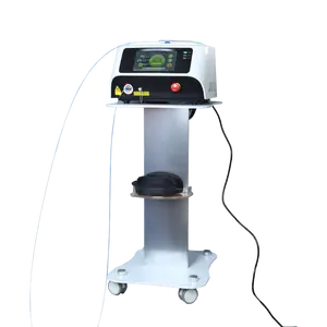 Cherylas Diode Medical Laser Equipment for Back Pain