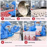HALAL Groothandel Witte Chocolade Bedekte Gedroogde Aardbeienstukjes Gum Arabica Klaar om te eten Snack 6kg/doos voor Detailhandel