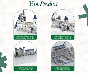 Machine à décortiquer les noix de cajou alimentée par moteur 410V, 600 kg/h, Oscar Cashew Tech - Product Image 4