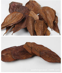 กล่องใส่สัตว์เลี้ยงใบไม้ปีนเขาใบไม้อัลมอนด์อินเดีย - Product Image 6