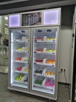 Distributeur réfrigéré de hot-dogs, distributeur automatique de hamburgers, réfrigérateur intelligent