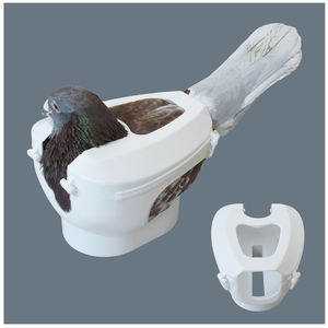 ホーミングピジョン機器フィクセーターピジョン固定フレーム注射薬給餌補助装置プラスチック耐久性と軽量 - Product Image 1