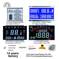 Thermomètre numérique avec écran LCD 5 pouces, module d'affichage 7 segments TN HTN VA STN FSTN, panneau à cristaux liquides monochrome personnalisé OEM