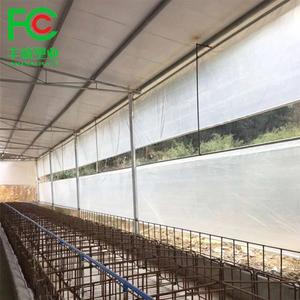 Wholesale 300 Micron UV Stabilized Clear <strong>Plastic</strong> Woven PE Film Waterproof/Windproof <strong>Greenhouse</strong> <strong>Covering</strong> Flowers Small Size - Product Image 4