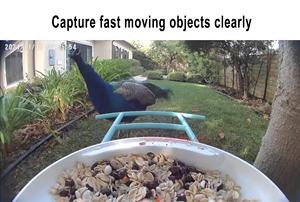 Mangeoire pour oiseaux d'extérieur de grande capacité en forme de maison avec caméra Bols et mangeoires durables pour animaux de compagnie Bols, tasses et seaux - Product Image 3