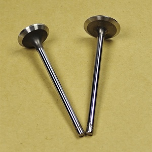 BD30 ed30 td27 TD42 van xả động cơ cho phụ tùng xe hơi Nhật Bản 13201-43g01 van nạp 13202-g2403 van xả - Product Image 1