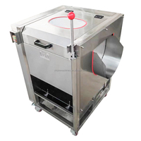 Nylonrolborstel 304 roestvrijstalen machine voor hoge productiviteit bij het wassen en schillen van groenten en fruit voor waterverwerking