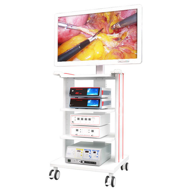 4K Laparoscope Telescope 10mm 30 Degree Direction Medical Endoscope Camera Stainless Steel Waterproof for Laparoscopic Surgery