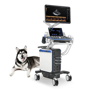 Sistema de Ultrasonido Doppler Color Veterinario Mindray Vetus 5 con Sonda Lineal/Microconvexa/Cardíaca para Mascotas, Gatos y Perros - Product Image 1