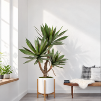 Tanaman Agave Sukulen Palsu Real Touch Grosir, Daun Lentur, Dekorasi Ruang Tamu, Tanaman Artifisial