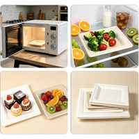 Assiette carrée jetable en pulpe de qualité alimentaire, résistante à l'huile et à la chaleur, personnalisable pour fêtes, pique-niques et barbecues