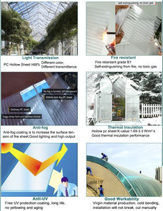 Amostra Grátis de Folha de Policarbonato Transparente Verde de Parede Dupla de 8mm / 10mm para Uso em Solários de Hotéis Modernos - Product Image 6