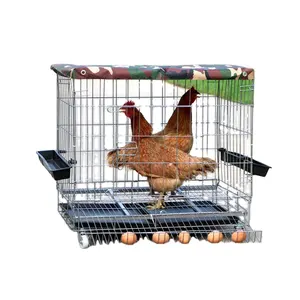 breeding chicken cages iron cages