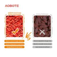 Mini kleine warmtepomp-dehydrator Intelligente constante temperatuur Wolfberry-pinda-bonen-droger