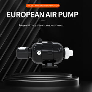 Proway – souffleur d'air pour baignoire de Massage à tourbillon Apw400, pièces de rechange pour <span class=keywords><strong>Spa</strong></span>, souffleur d'air Portable avec chauffage - Product Image 5