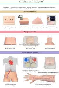 Maniquí de Entrenamiento para Cirugía de Gastroscopia ESD, Modelo de Estómago de Tamaño Real, Material de PVC Avanzado, Fantoma de Ultrasonido de Alta Calidad para - Product Image 6