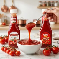 340g Squeeze Bottle Tomato Ketchup Sauce Factory Direct Halal Seasoning Table Condiment for Wholesale