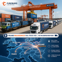 Firebird. Transport terrestre. Livraison DDP. Service de livraison. Temps de transit stable. Taux de retard faible. Pour les envois e-commerce.