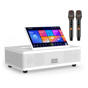 เครื่องเล่นคาราโอเกะออลอินวันแบบมืออาชีพ หน้าจอสัมผัส 500GB ระบบคัดเพลงด้วยเสียง MS6 เครื่องเล่นคาราโอเกะออลอินวันแบบมืออาชีพ - Product Image 1