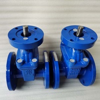 Vanne à vanne à cale assise résiliente en fonte ductile PN16 DN65 GGG50 avec siège EPDM ou NBR à bride ISO