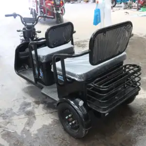 電動三輪車デュアルユース家庭用輸送バッテリーカーミニ小型高齢者障害者レジャーダブル