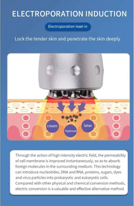 Japan 7 in 1 Invasive Electroporation Electronic Skin Care Galvanic Microcurrent Face Lifting Machine - Product Image 2
