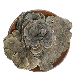 Натуральный органический экстракт хвоста индейки - Product Image 1