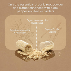 Cápsulas de Extracto de Raíz de Ashwagandha 100% Veganas, 2100mg, Certificadas GMP, Venta al Por Mayor, Marca Privada OEM, Suplemento de Hierbas Adaptógenas - Product Image 3