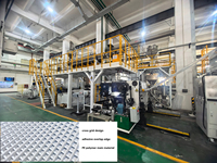 Extrudeuse professionnelle 3D à grille croisée en PE, monocylindre, multicouche, co-extrusion, avec vis 38CrMoALA, pour feuilles étanches, et calandreuse
