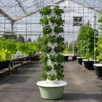 Système hydroponique agricole 2026 pour usage domestique, tour hydroponique verticale à 9 niveaux, mini-serre de jardin pour légumes-feuilles