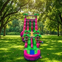 Toboggan aquatique gonflable géant rose et vert en PVC pour adultes, usage commercial, pour piscine et parc, marque MILE, capacité 500 personnes, 6-9 ans
