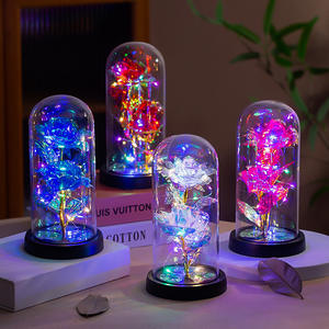 Lampe en verre avec feuille d'or rose, cadeau créatif pour la Saint-Valentin, la fête des mères, décoration, décoration d'usine - Product Image 1