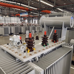 Transformateur de puissance triphasé immergé dans l'huile 6300 kVA 66 kV pour projets d'infrastructure réseau (S13) Transformateur MT/HT S13 Haute Tension - Product Image 2