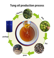 Huile d'abrasin pure de haute qualité pour revêtement liquide de peinture de meubles pour application de brosse raffinée et emballée dans des bouteilles en vrac