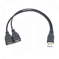 Cable de Extensión USB 2.0 Macho a Dos Hembras con Conductor de Cobre