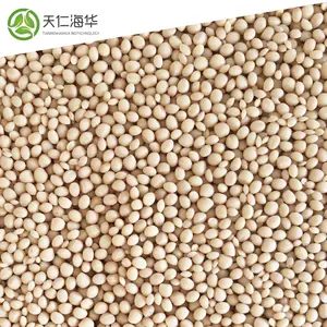 Bio matérias-primas compostáveis amido de milho biodegradável plástico Pbat matéria-prima 100% grânulos biodegradáveis
