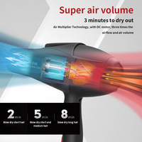 Sèche-cheveux professionnel haute vitesse pour salon, avec air froid et chaud, moteur AC puissant