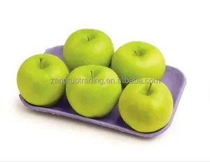 Paper Fruit Tray Machine Pulp Molding Apple Tray Making Machine Prices