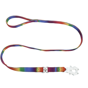 Heavy Duty <b>Rainbow</b> Nylon Dog Leash, Durable Metal Clip for Medium to Large Breeds - Product Image 3