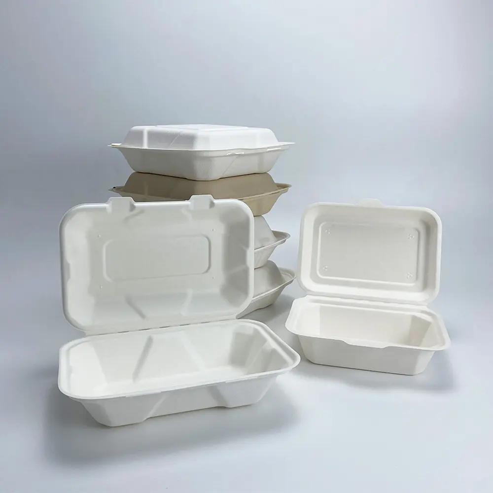 Biodegradable Disposable Compostable Degradable Bagasse Sugarcane Packaging Takeaway Food Sushi Containers Clamshell Box 800 ml
