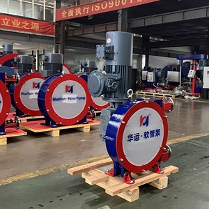 20+ Jahre Herstellererfahrung: Industrielle Schlauchpumpe, Peristaltische Quetschpumpe für Bergbau-Schlammtransfer - Product Image 1