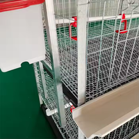 Cage à poulets de chair multi-niveaux de type H, capacité 60/80 poulets, cage de ferme galvanisée pour poulets de chair à vendre