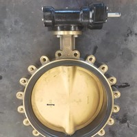 Vanne papillon marine de type à languette C958 Bronze, norme américaine, HQ D37L1XT-16T pour applications aquatiques