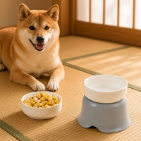 Gamelle surélevée en céramique en forme de fleur, anti-renversement, pour chat et chien, avec support