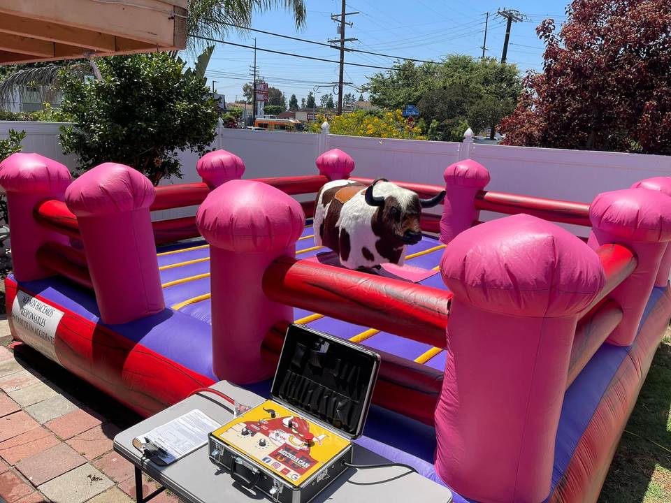 Pink Rodeo Bull Mechanical Rodeo Bull - Ultimate Amusement Park Attractions
