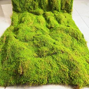 بيع مباشر من المصنع: سجادة طحالب صناعية كبيرة الحجم لتصميم الحدائق، عشب موس جديد، نباتات خضراء لعيد الحب - Product Image 4