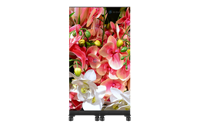 Écran d'affichage numérique LED COB P1.56 série UT-C M-Shine 600x2025, luminosité 600/1000 nits, intérieur/extérieur, OEM, pour ascenseurs et métros