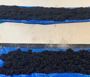 Fertilizante Orgánico Sólido Premium para Aplicación Foliar, Reciclado, de Alta Pureza, 500 kg, con Micronutriente de Boro de Liberación Rápida - Product Image 2