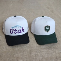 Vente directe d'usine, casquettes de baseball unisexes à visière incurvée, en coton respirant, bicolores, décontractées, sportives, avec logo brodé personnalisé, 5 panneaux