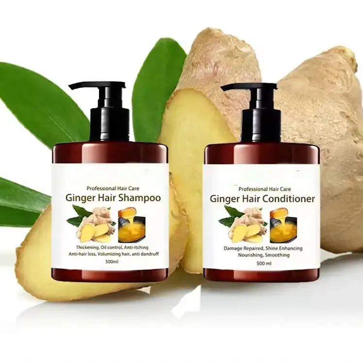 Zencefil organik şampuan Private Label doğal organik keratin saç bakımı tedavisi için şampuan ve saç kremi set